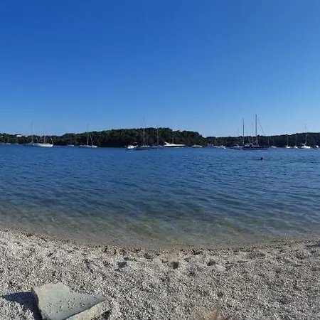 Appartement Diana,free Parking *