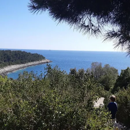 Diana,free Parking Appartement