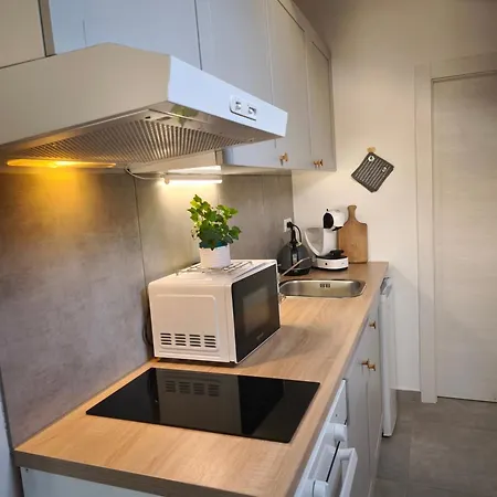 Appartement Diana,free Parking