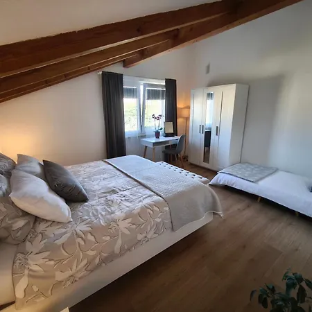 Apartamento Diana,free Parking *